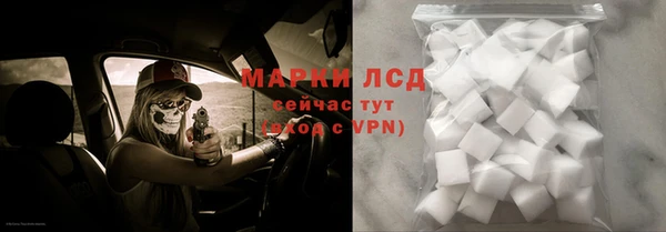 стаф Алзамай