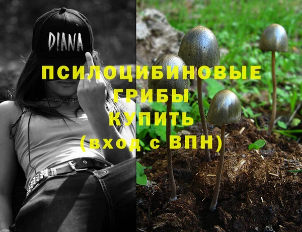 ГАЛЛЮЦИНОГЕННЫЕ ГРИБЫ Абдулино