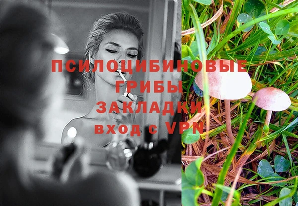 винт Абинск