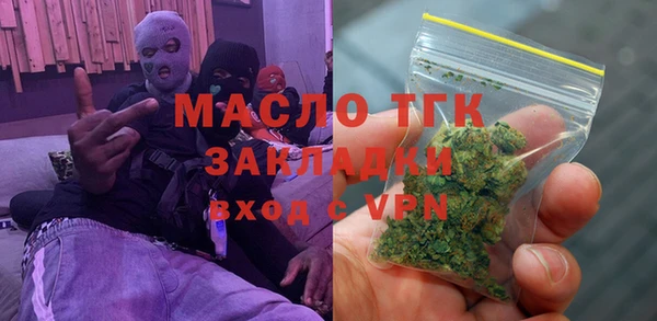 стаф Алзамай
