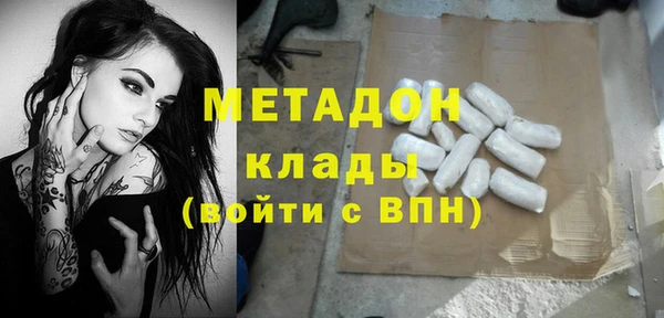 стаф Алзамай