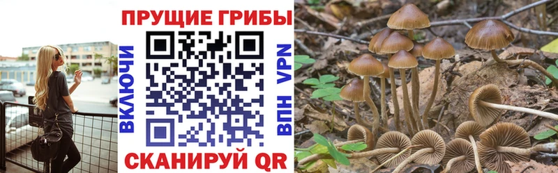 Псилоцибиновые грибы ЛСД  Карачев 